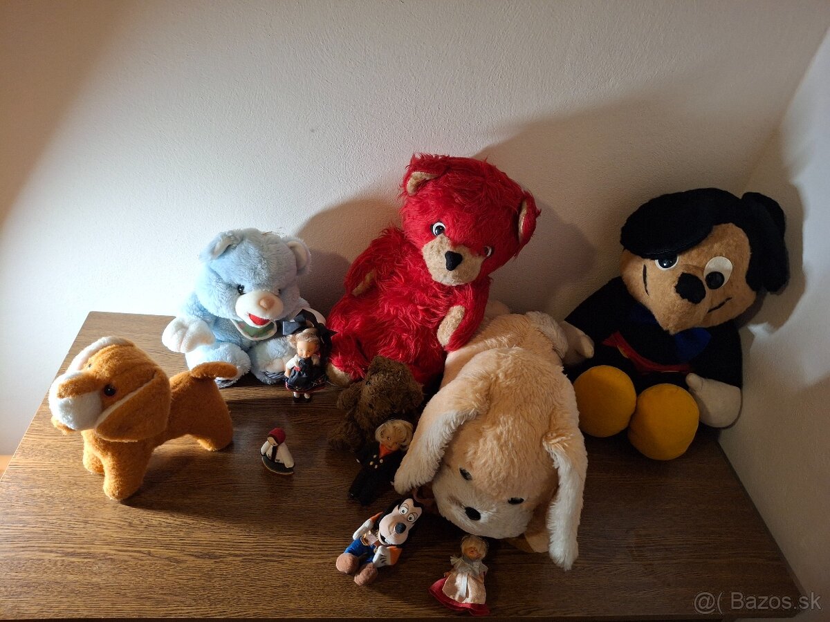 Všeobecná občianska legitimacia - 15