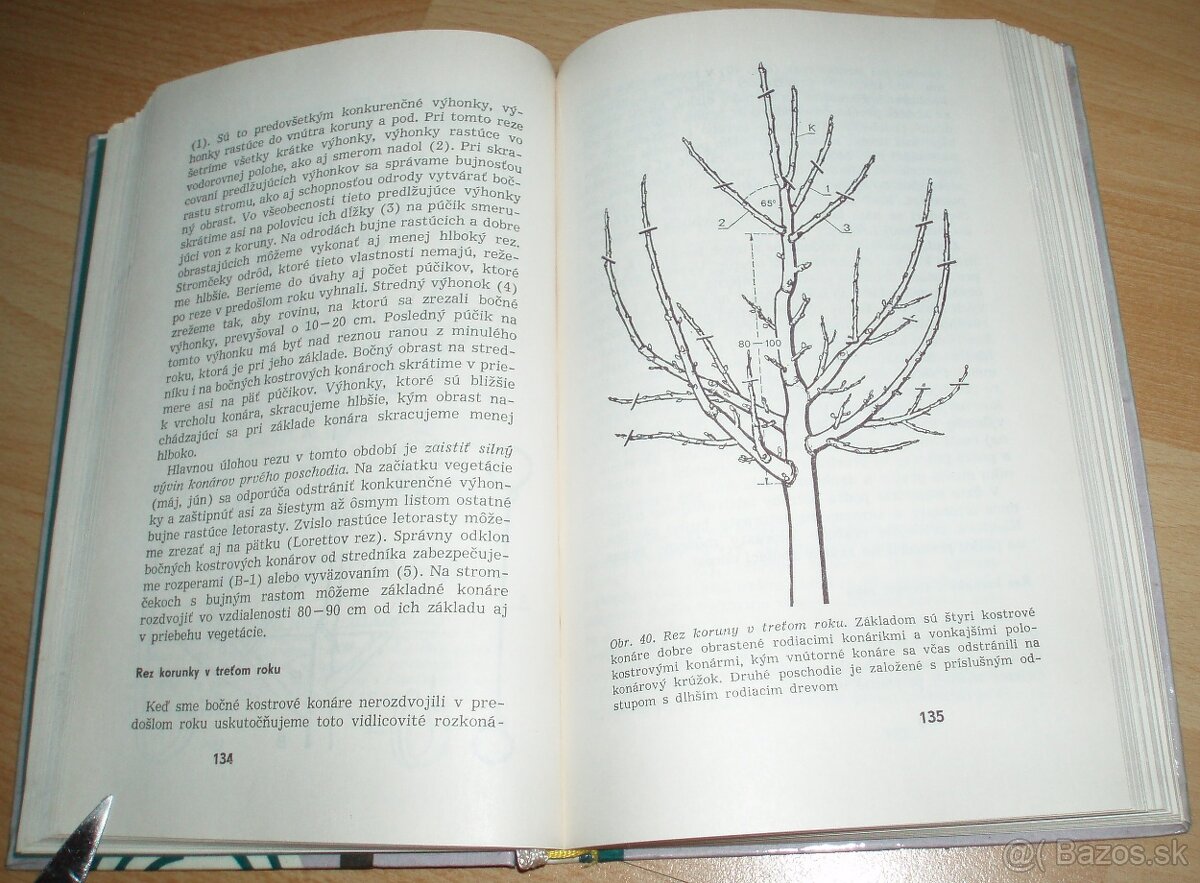 Rez a tvarovanie ovocných drevín - 15