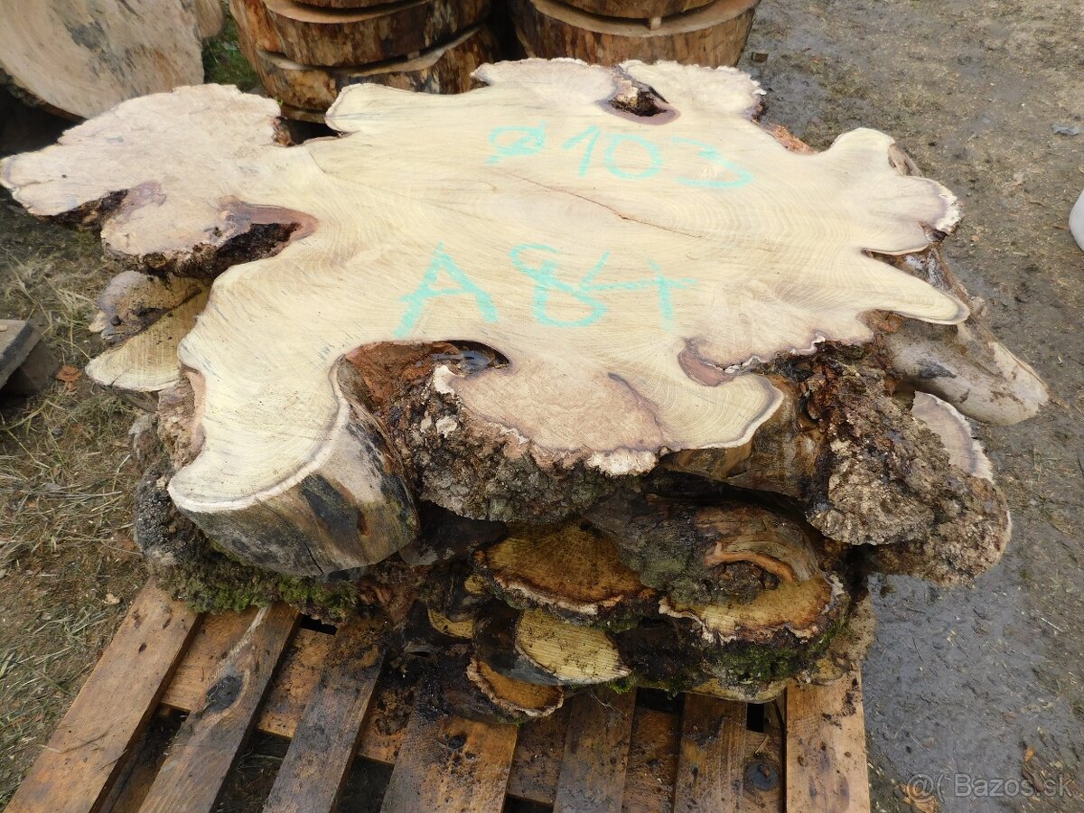 Atypické a nadrozmerné fošne a koláče, orechové drevo - 15