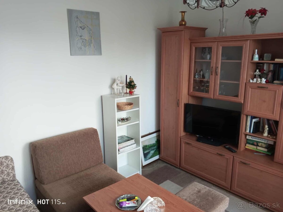 Prenajmem 1 izbový byt s lodžiou na Terase - 15