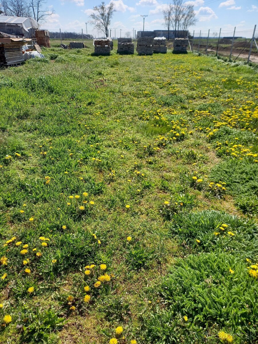 stavebny pozemok , zahrada - 15