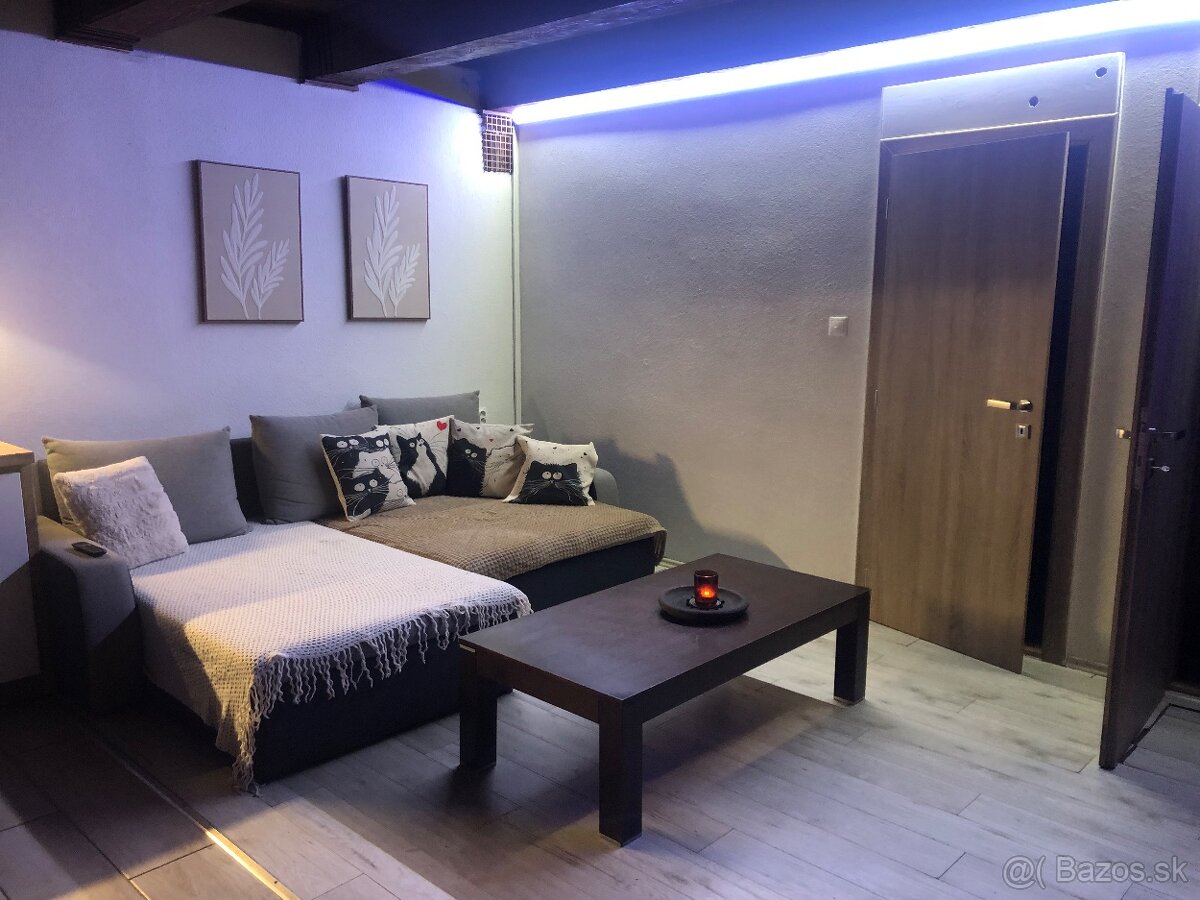 Krátkodobý prenájom aj s domácim miláčikom - 15