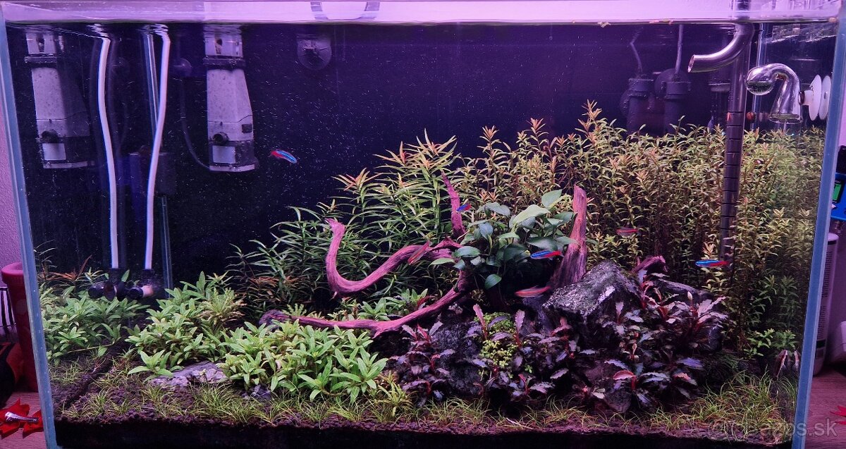 Predám Akvárium s vybavením 78L - 15