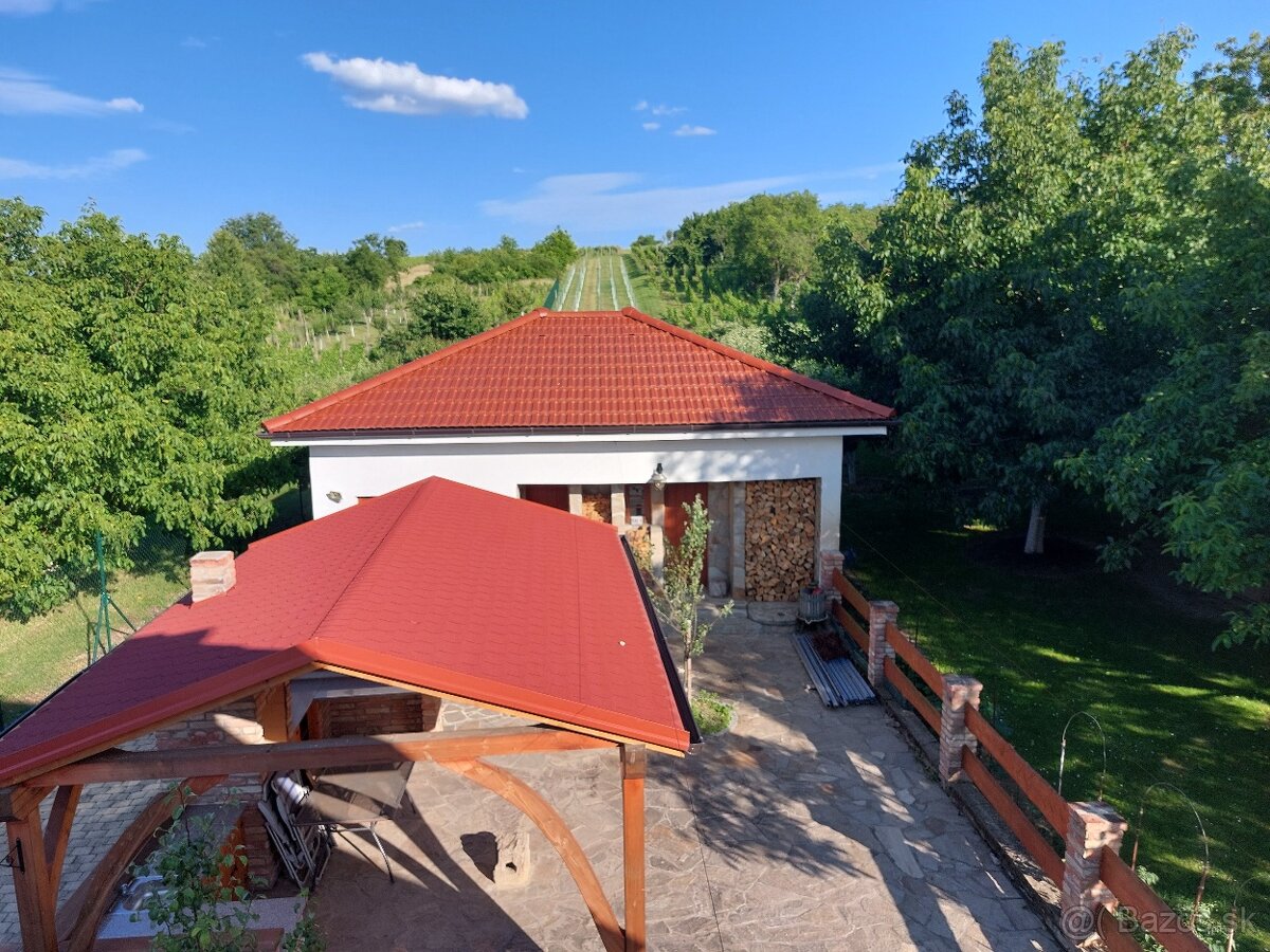 Na predaj vinohradnícka usadlosť v Skalici - 15
