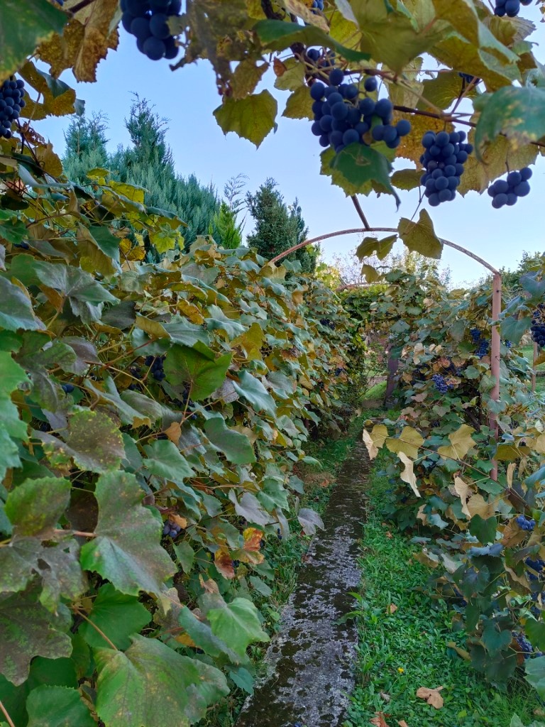 Rodinný dom Bojnice - 15