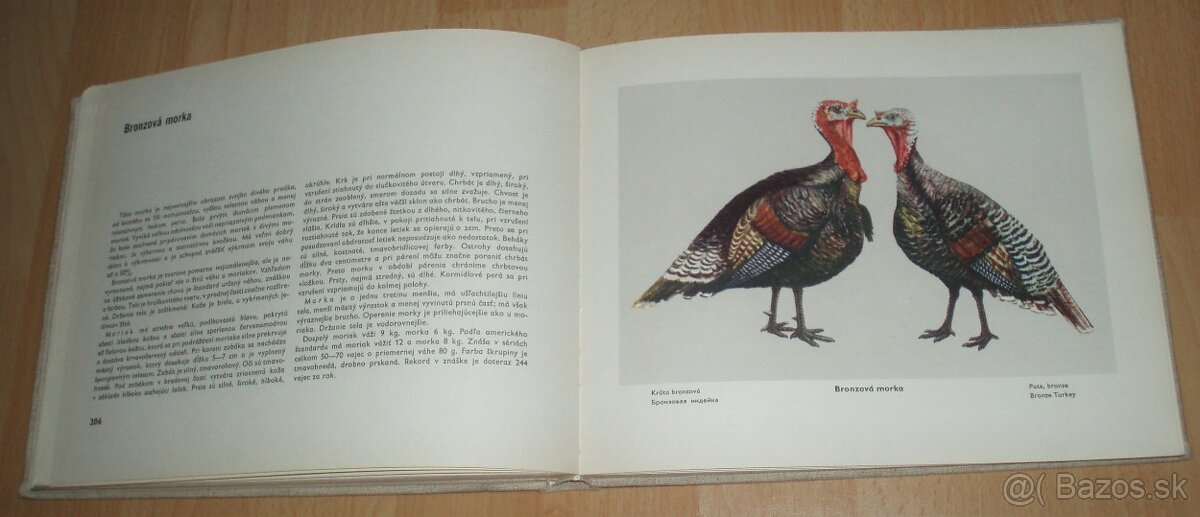 Atlas plemien hydiny - 15