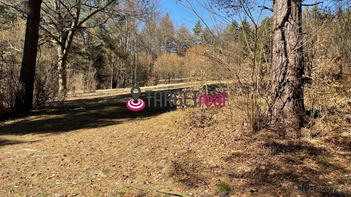 TARGETreal | NA PREDAJ REKREAČNÁ CHATA S 5 STAVEBNÝMI POZEMK - 15