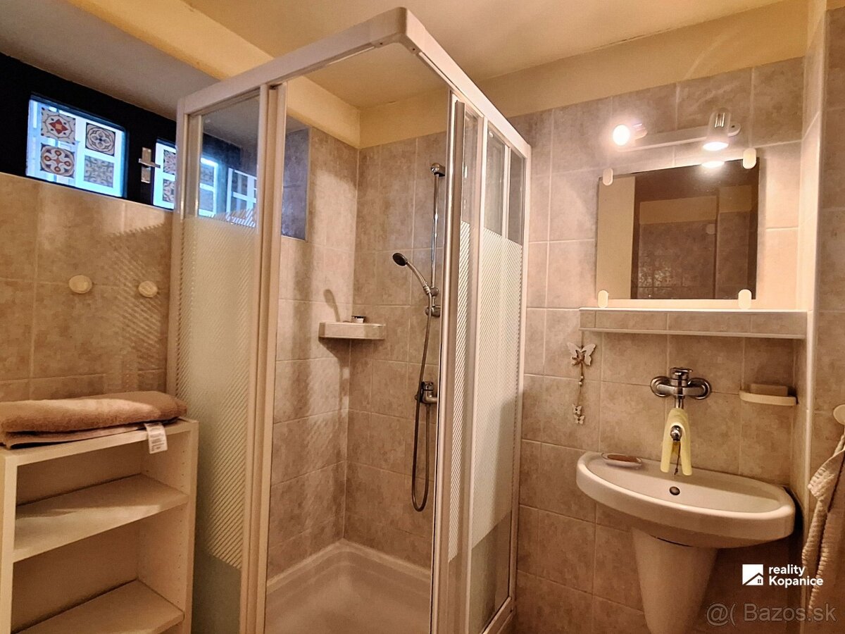 Chalupa na polosamote, Brezová pod Bradlom - 15