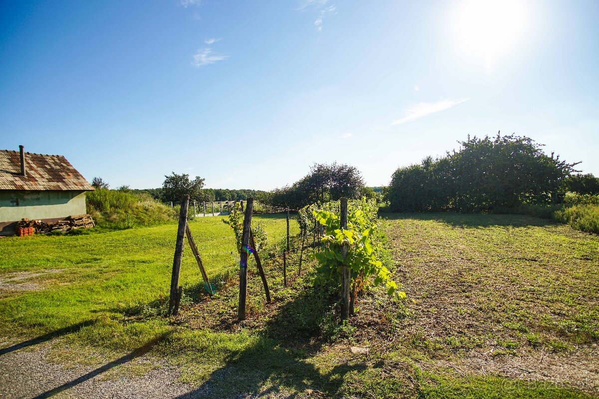 Na predaj pivničný dom v obci Svätý Peter - 15