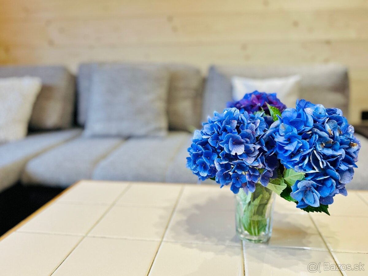 Horská Chata 542 - Kokava Línia - 15