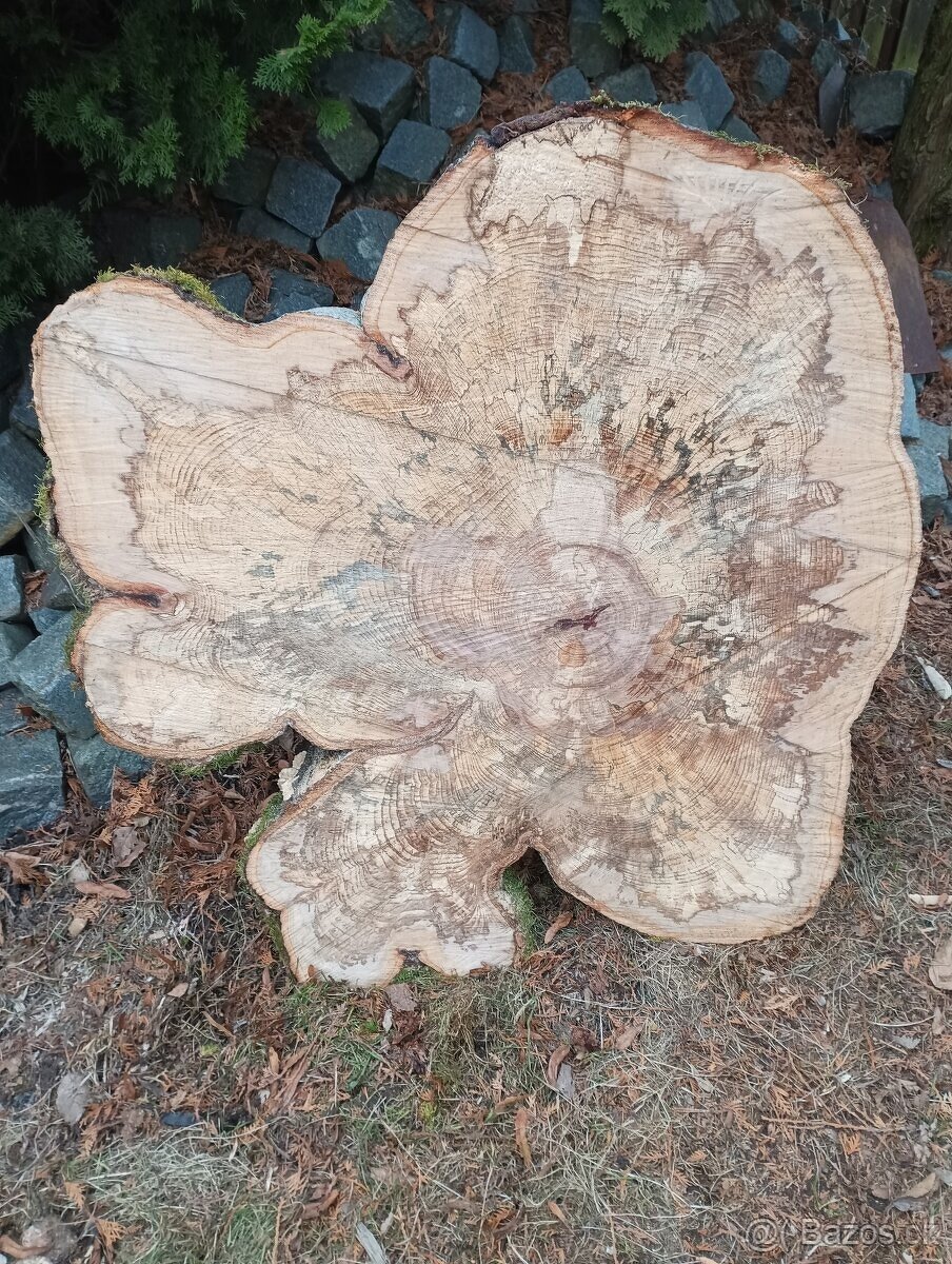 Suché koláče z Habra a Buka - 15