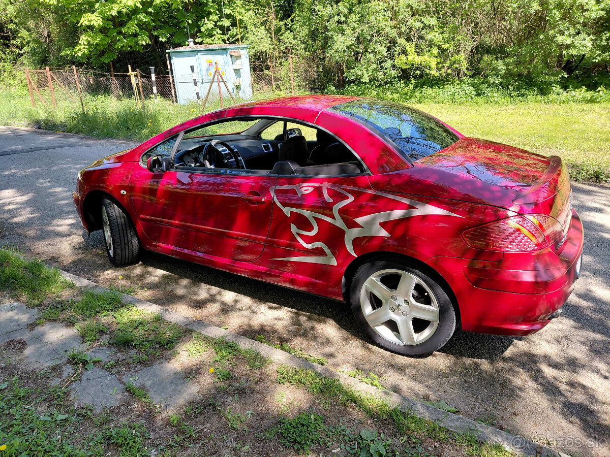 Peugeot 307 CC 2.0 16V - 15