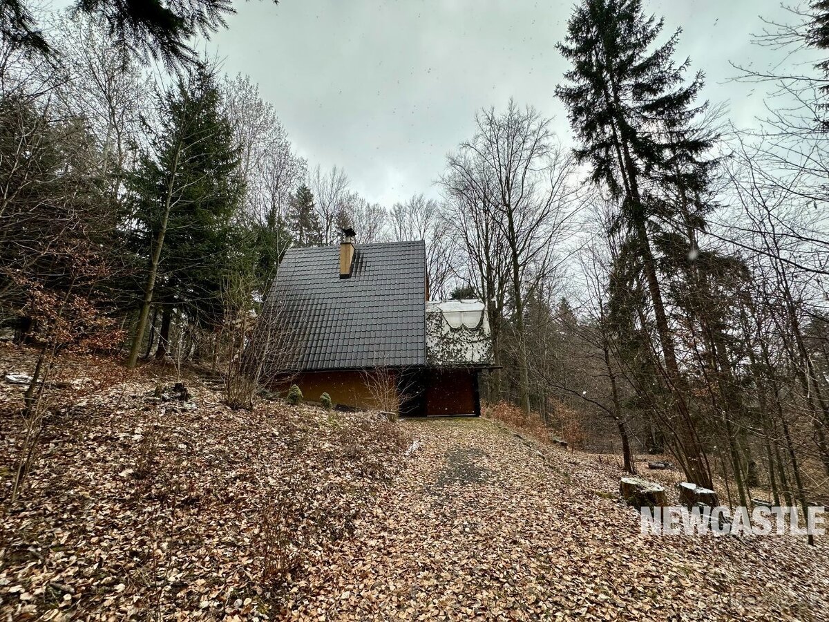 NEWCASTLE⏐PREDAJ - 3-izbová chata, Tajov - 15