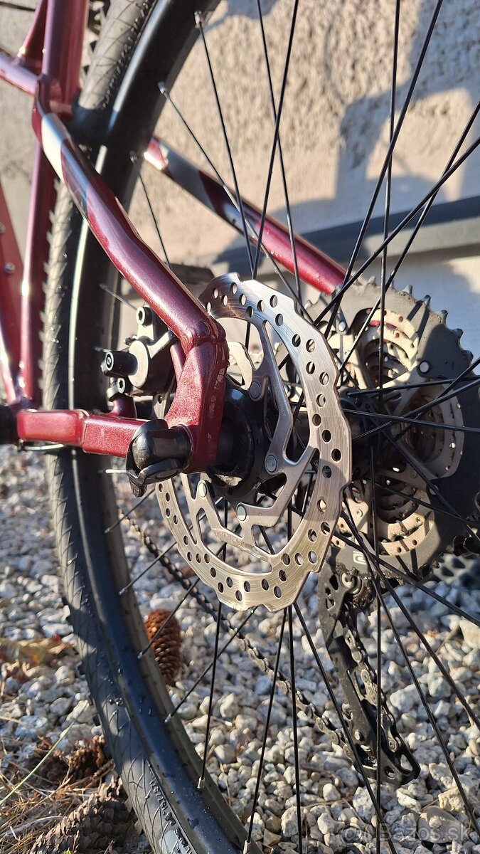 CTM Zephyr Xpert 2020 - 15