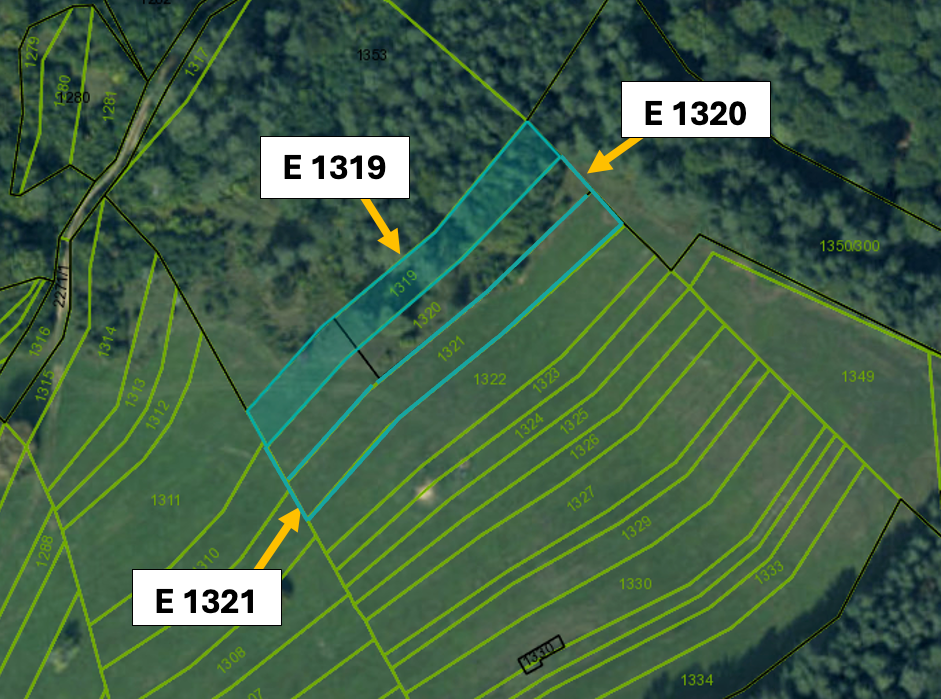 Omastiná – 9.909 m2 LESY a PASIENKY – PREDAJ - 15
