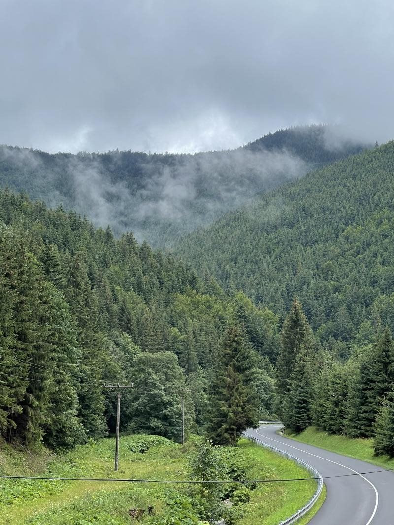 VKUSNE REKONŠTRUOVANÁ S CITOM ZARIADENÁ SLNKOM ZALIATA CHATA - 15