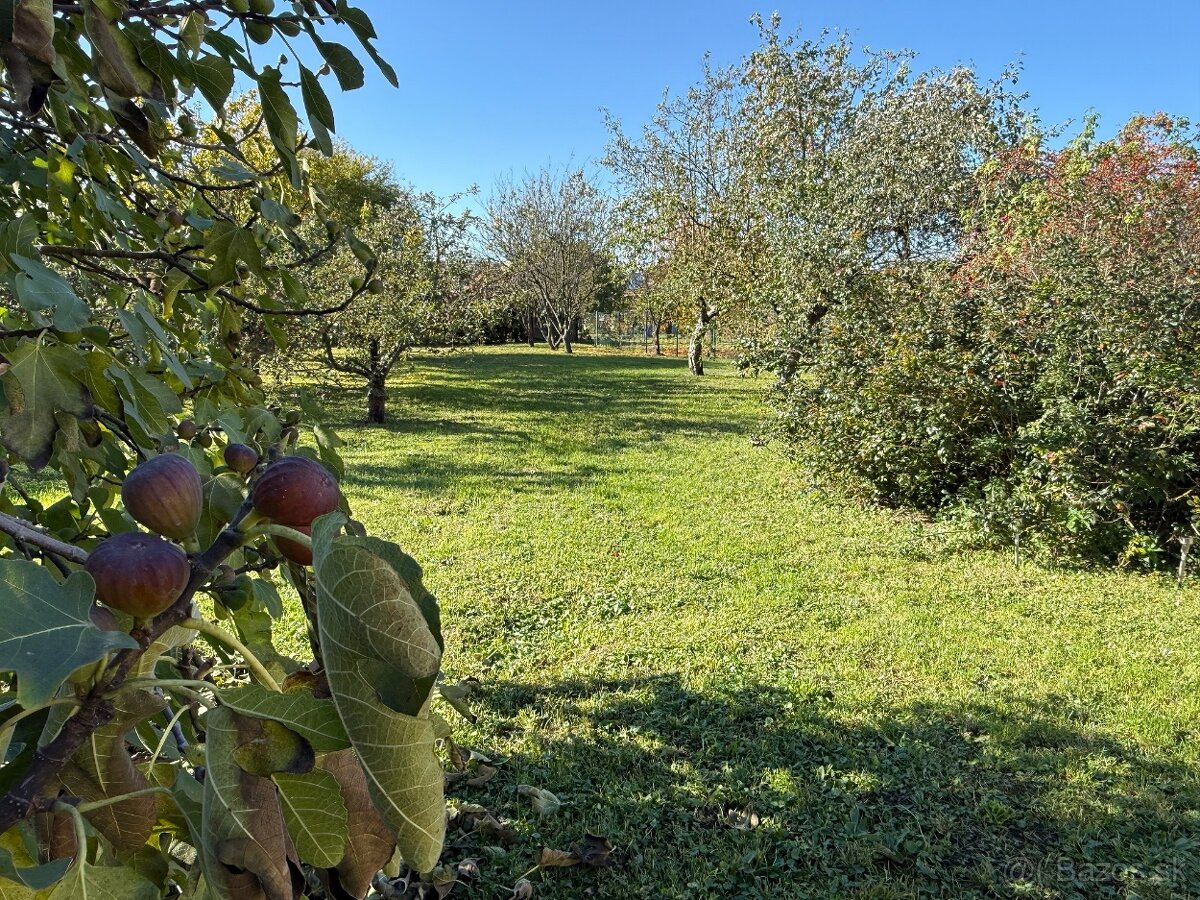 PREDAJ - RODINNÝ DOM - ZLATÉ MORAVCE - 15