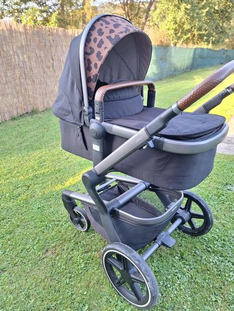 Kočik Joolz Day + Tailor - 15