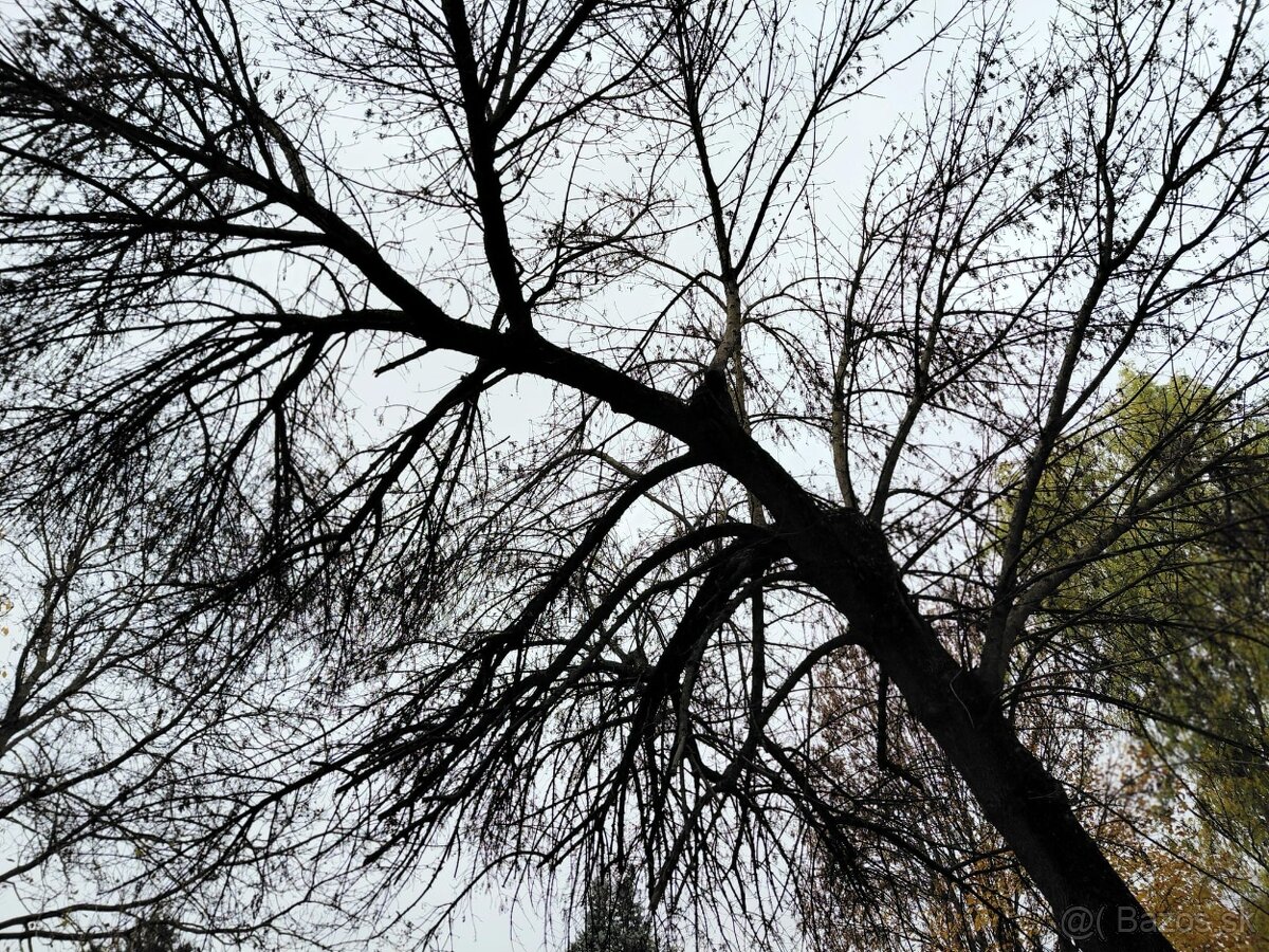 Slnečný, teplý 3 izb. s balkónom, A. Stodolu, Prievidza - 15