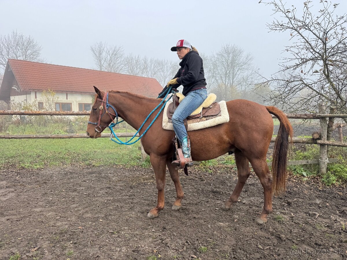 tréning koní - obsadanie - 15