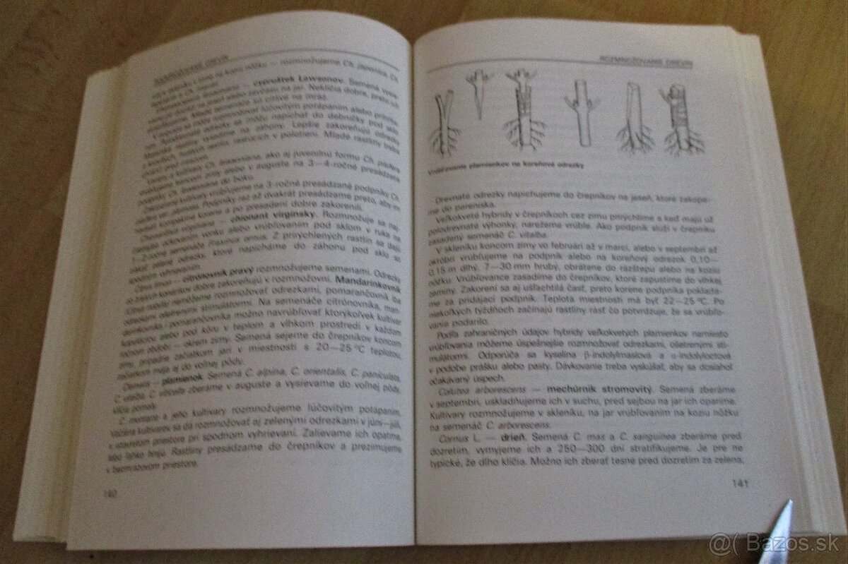 Vrúbľovanie, očkovanie, rozmnožovanie - 15