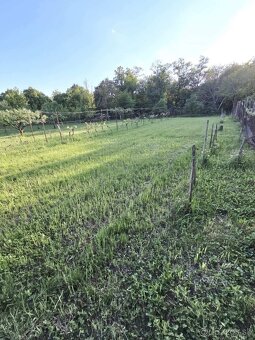 PREDAJ poschodový dom v obci Pastovce s pekným pozemkom - 15