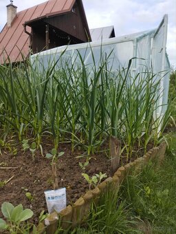 2. IZBOVÝ BYT + CHATA - priame centrum Bytča - 15