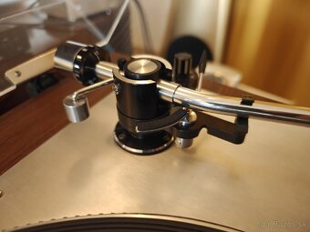 Gramofón Transonic P 100 - 15