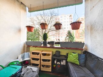 3-IZB. BYT S LOGGIOU, UL. ČORDÁKOVA, KOŠICE-KVP - 15