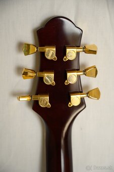 Elektrická gitara - Firewood - 26# - 15