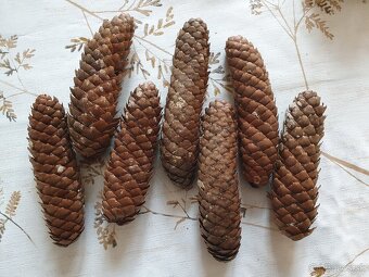 Vetvicky a sisky na adventne vence / dekoracie - 15