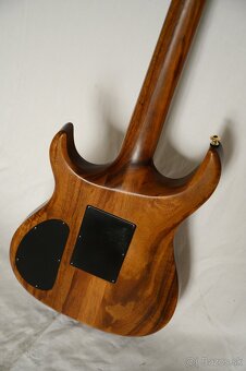 Elektrická gitara - Carvin DC - 20# - 15