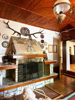 Udržiavaná vinica s chatou, 8500m2, Hrušov - 15