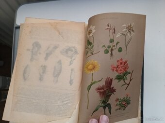 Ottúv slovník náučný 1888-1909, 28 zväzkov - 15