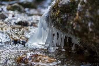 Sony FE Sonnar T 55mm f/1.8 ZA  Carl Zeiss - 15