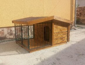 Búda pre psa - 15