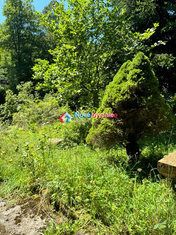 ZNÍŽENÁ CENA  Na predaj - rekreačný dom - chata v prírode ,  - 15