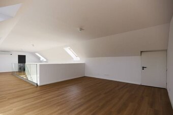 NA PREDAJ- EXKLUZÍVNY- 5 - IZBOVÝ RODINNÝ DOM, MALÁ IDA - PA - 15