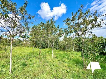 Predaj rodinný dom Nové Sady - 15