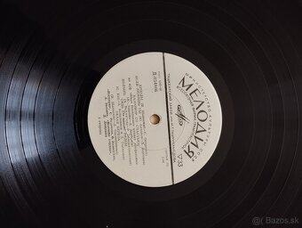 Rozlicne LP platne - 15