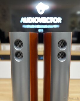 Audiovector SR3 Avantgarde - 15