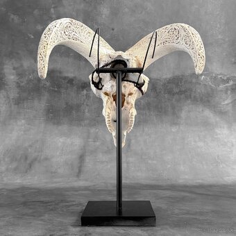 Vyrezávaná lebka barana na kovovom stojane - motív Infinity - 15