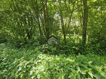 Záhrada vo Zvolene - 15