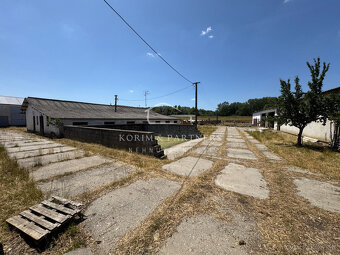 NOVINKA - Rodinná farma na vyše 2,5 hektároch pri Komárne - 15