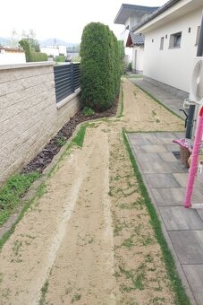 Aerifikácia a pieskovanie - 15