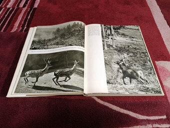 Poľovnícke knihy - 15