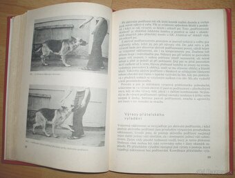 Poznej svého psa - 15