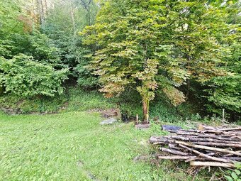 REKREAČNÁ CHATA - / ŠÍPKOV / POZEMOK 1209 m2  / DVOJPODLAŽNÁ - 15