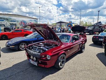 ELEANOR Mustang Shelby GT500 - 15