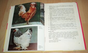 Plemená drubeže – Príručka pro chovatele drubeže, časť III - 15